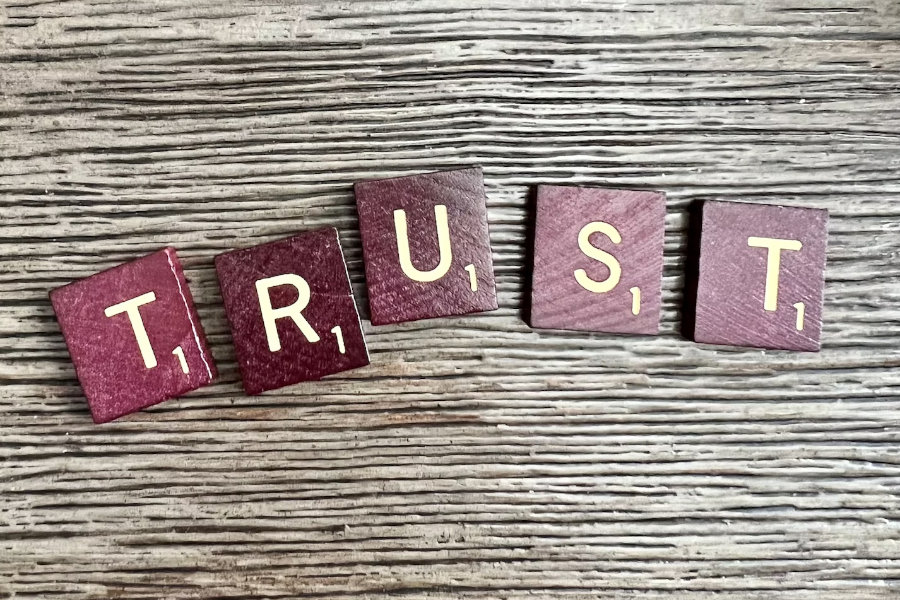 Make It Easy to Be Trusted: Demonstrate Social Proof