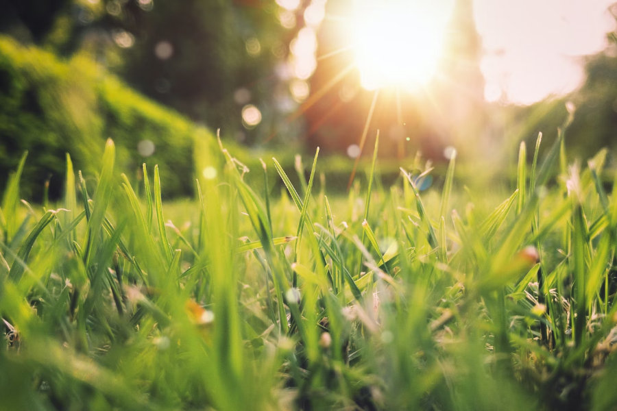 Spring Marketing for Contractors: Ideas to Go Green & Other Springtime Opportunities