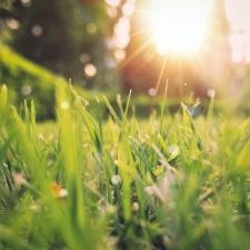 Spring Marketing for Contractors: Ideas to Go Green and Other Springtime Opportunities