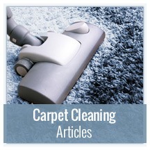 Carpet Cleaning Articles