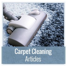 Carpet Cleaning Articles
