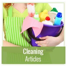 Cleaning Articles
