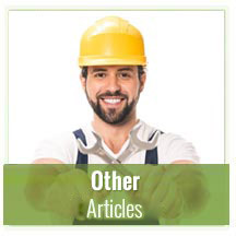 Other Articles
