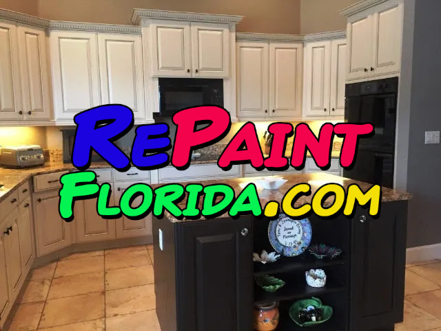 RePaint Florida - About