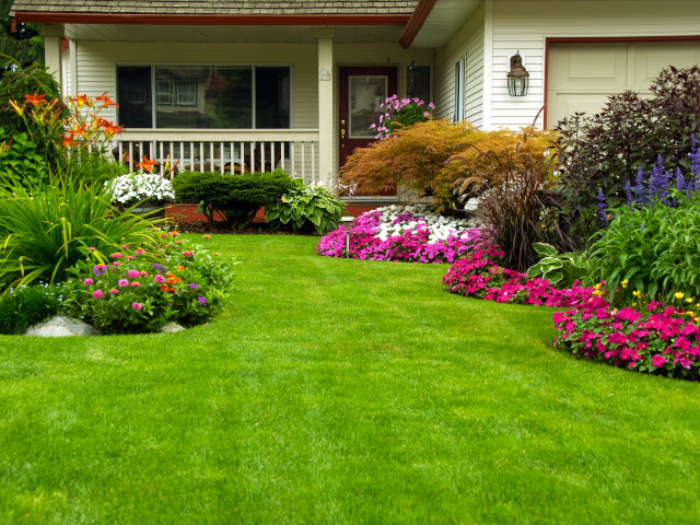 Landscaping Contractor Marketing Plan